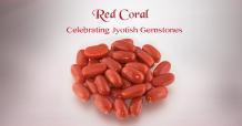 Red Coral Stone Benefits | Red Coral Benefits | Moonga Stone