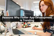 Reasons Why Flutter App Development is Trending