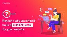 7 Reasons why you should build a Custom CMS for your Website