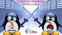 Compare Linux Distributions: Red Hat vs. Ubuntu. &#8211; training institute in Chandigarh