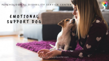 PDSC - ESA blog | Emotional support animal