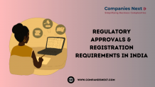 Regulatory approvals &amp; Registration Requirements in India &#8211; Your Company Registration