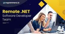 Learn About Hiring Remote .NET Software Developers Team