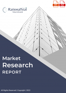 Global Industrial Starch Market Analysis &amp; Forecast 2019-2028 | RationalStat Store