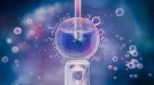 Reproductive Medicine: Exploring The Process Of IVF - StudyREPRO