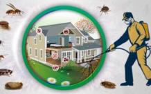 Quick Pest Control Ottawa | QPC Ottawa