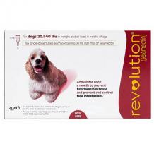 Buy Revolution For Meduim Dogs 10.1 To 20Kg (Red) Online