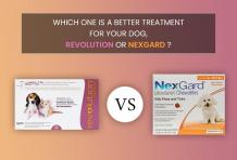 Revolution VS Nexgard for Dogs