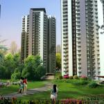 RG Luxury Homes in Sector 16B Noida Extension