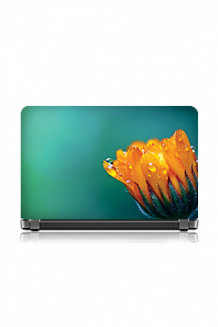        Stand out in a crowd with vibrant Laptop Skins - manish sharma | Launchora    