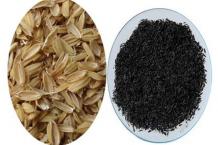 Rice Husk Carbonization Can Turn Waste into Tangible Value