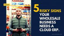 Risky Signs Your Wholesale Business Needs a Cloud ERP Software