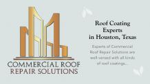 PPT - Roof Coating Experts in Houston, Texas PowerPoint Presentation, free download - ID:10493487