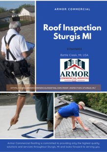 Roof Inspection Sturgis MI - Gifyu