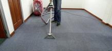 Rug Steam Cleaning for Dirty Rugs | Time4tv