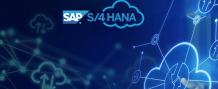 SAP S4 HANA Cases