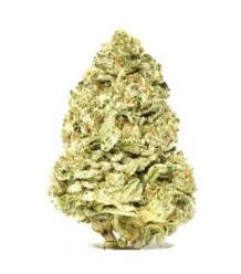 Buy Punch Breath Strain Online in Canada from Lowpricebud.co