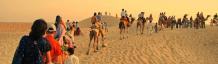 Best Rajasthan Safari Tour Packages in India | Rajasthan Desert Safari