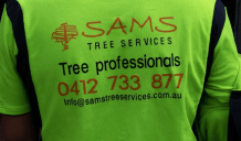 Get the Tree Services and Pay Later