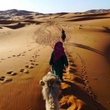 Desert Tours Marrakech | Marrakech Desert Trip