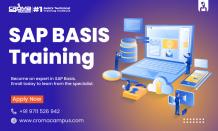 Embark On Your SAP BASIS Journey: A Beginner&#039;s Guide - Blogstudiio