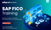 SAP FICO Consultant: Things You Must Know 