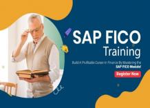 What are the factors that make SAP FICO powerful software?