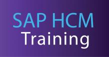 Why Do Companies Choose SAP HCM?