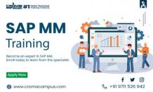 Highlighting the Productive Outcomes of SAP MM - funfactzz