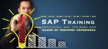 Trending Sap Modules For Aspirants