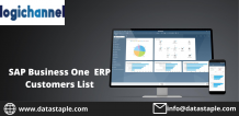 SAP Business One Customers List | LogiChannel