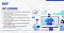 Best SAP Training Institute in Noida With Advanced Facilities