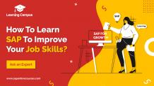 How To Learn SAP To Improve Your Job Skills?