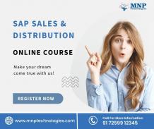 sap sd training and placement