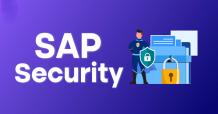 SAP Security Levels
