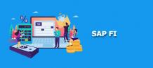 Top 5 Reasons: Why Future of SAP in India is Bright