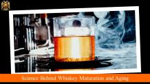 Science Behind the Whiskey Maturation Process