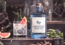 Exploring the Global Journey: The Most Exported Irish Gin and Its Impact on India&#039;s Spirits Scene - Bloglabcity.com