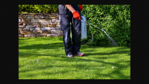  Pest Control Melbourne