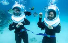 Andaman tour packages &#124; Andaman nicobar packages &#124; Andaman tours