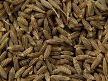 Cumin Exporters | Organic Cumin Seeds Manufacturers &amp; Suppliers