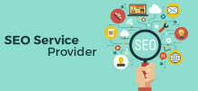 SEO Services Provider