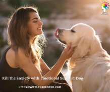 Can an emotional support dog help with your anxiety? | ESA letter | PDSC