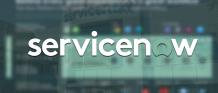 List the job role of a ServiceNow Developer 