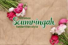 Seumringah Font Free Download OTF TTF | DLFreeFont