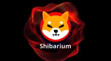 Shibarium Của Shiba Inu Vượt Mốc 300 Triệu Giao Dịch