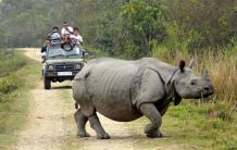 Kaziranga National Park - Wildlife Sanctuary, Assam, India
