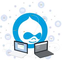 Hire Drupal Developer, Drupal Development Company