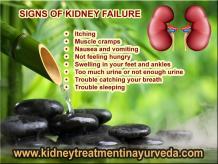 How to Prevent Kidney Failure?