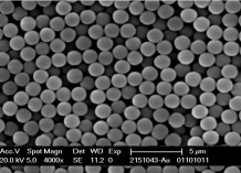 Silica Magnetic Particles - CD Bioparticles